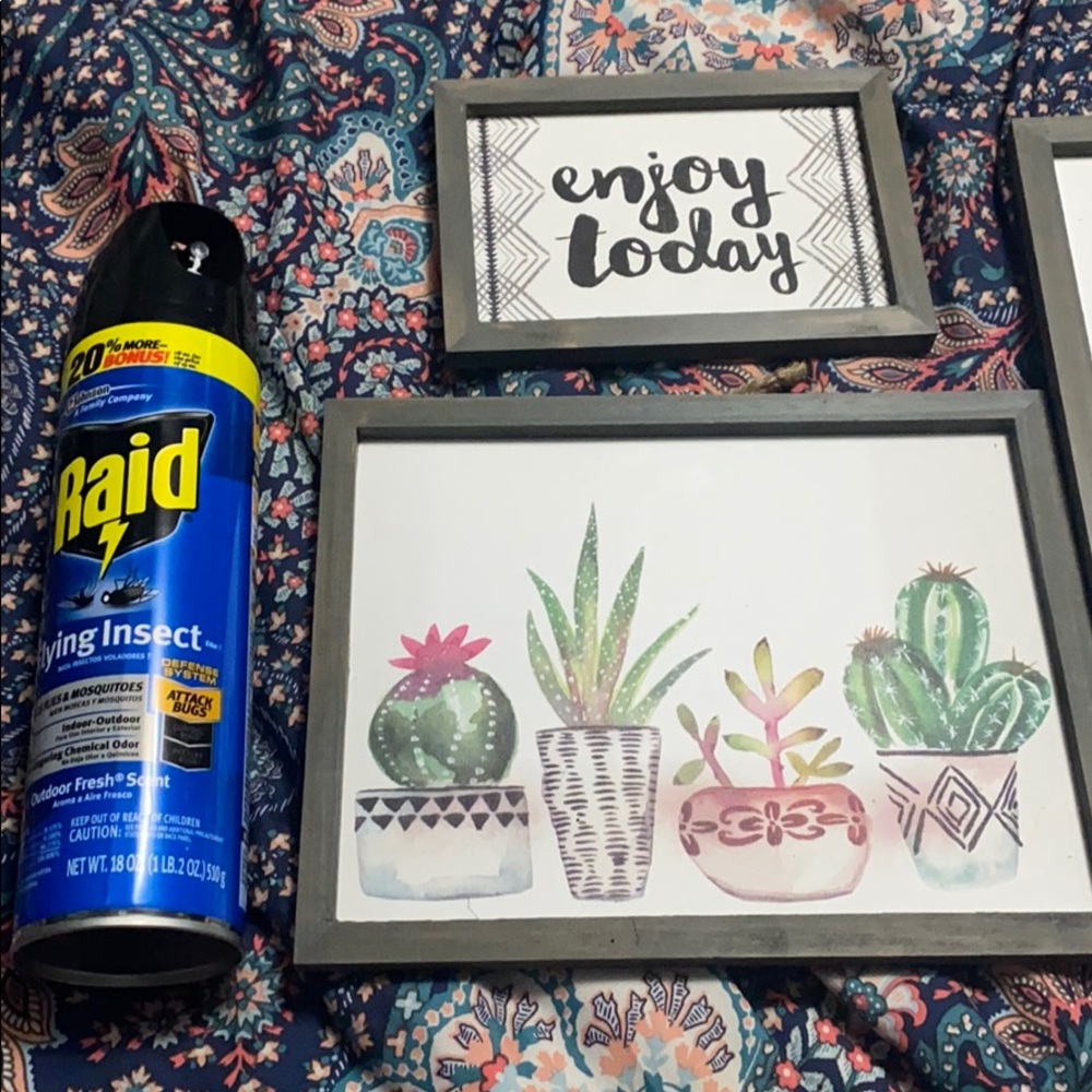 Cactus artwork - Picture 3 of 5